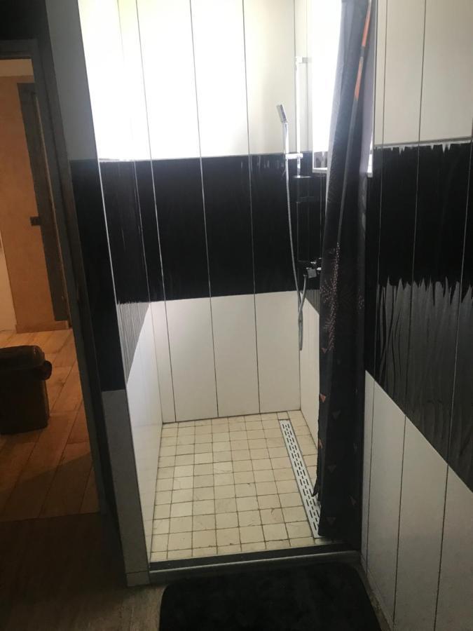 德西兹F3 Bord De Loire Complet公寓 外观 照片